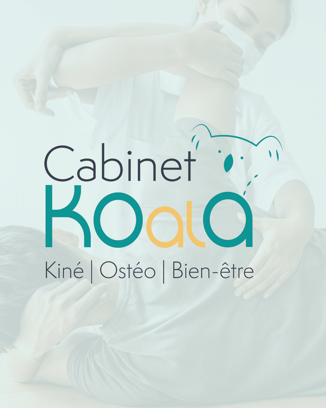 cabinet-koala-logo
